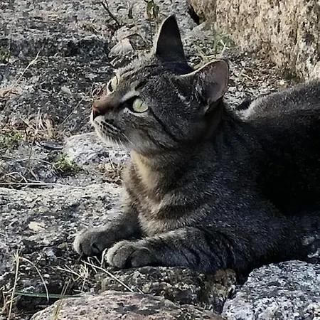 Stairway To Castle- Дом отдыха *